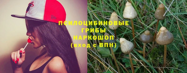 гашиш Богородицк